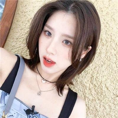 富贵吉娃娃